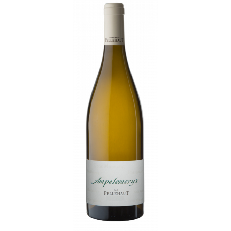 Domaine De Pellehaut Ampelomeryx Blanc | french wine