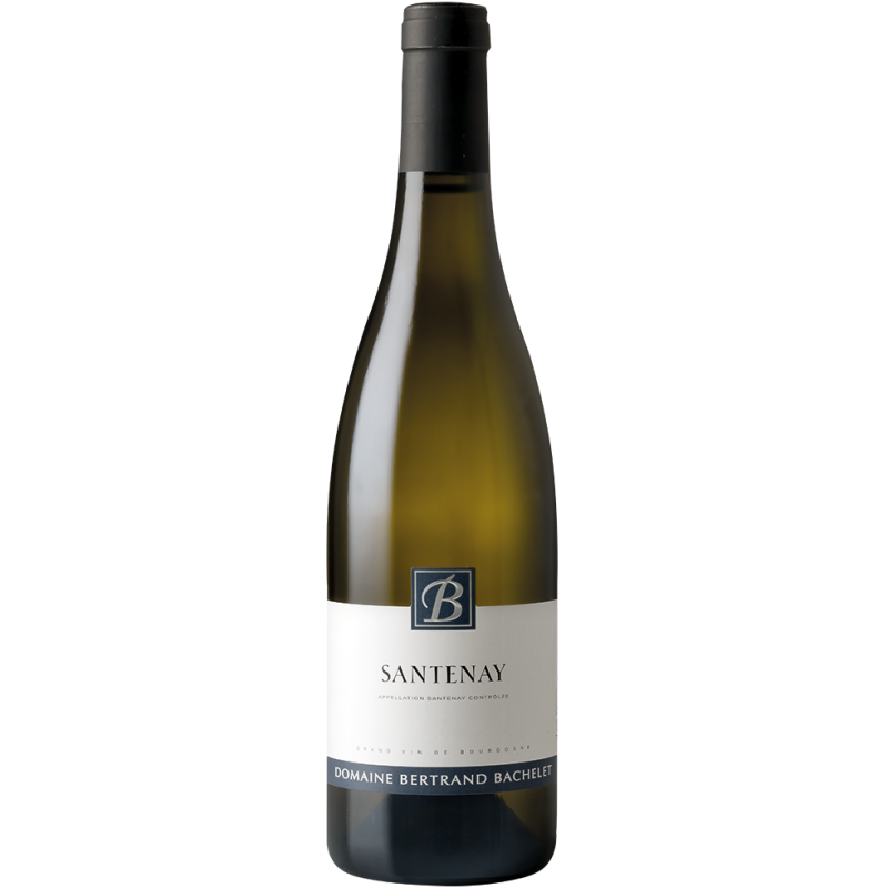 Domaine Bertrand Bachelet Santenay Blanc | french wine