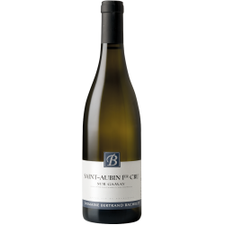 Domaine Bertrand Bachelet Sur Gamay Blanc | french wine