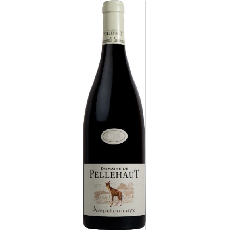 Domaine De Pellehaut Ampelomeryx Rouge | French Wine