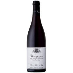 Domaine Simon Bize Et Fils Bourgogne Les Perrieres | French Wine