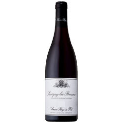 Domaine Simon Bize Et Fils Savigny-Les-Beaune | French Wine