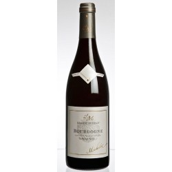 Domaine Michelot Bourgogne Cote D'or Pinot Noir | French Wine