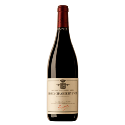 Domaine Trapet Gevrey-Chambertin 1er Cru Capita - Vin Bio | French Wine