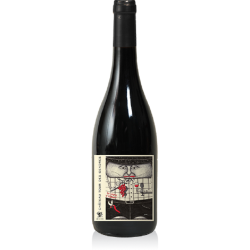 Domaine Albert De Conti La Vigne D'albert - Vin Bio Nature | French Wine