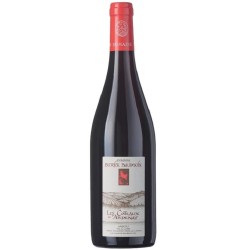 Domaine Patrick Baudouin Anjou Rouge Coteaux D'ardenay | French Wine