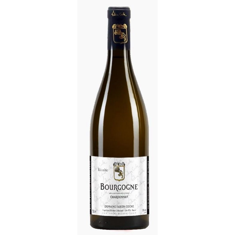 Domaine Fabien Coche Bourgogne Chardonnay | french wine