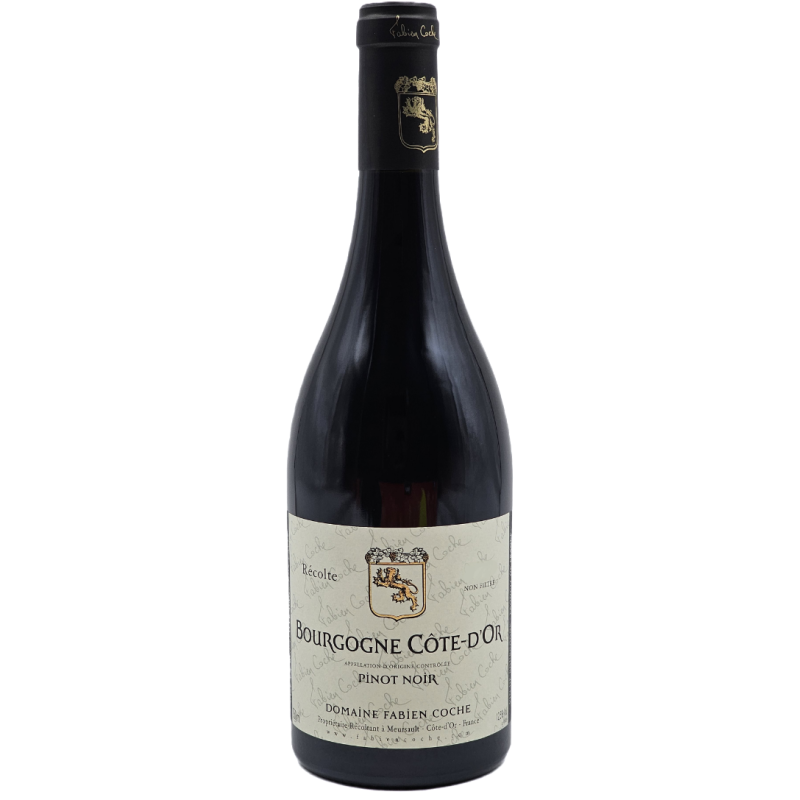 Domaine Fabien Coche Bourgogne Cote D'or Pinot Noir | French Wine