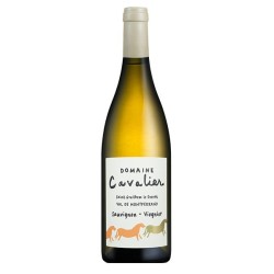 Domaine Cavalier Val De Montferrand - Vin Bio | french wine