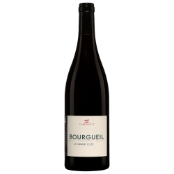 Domaine Yannick Amirault Bourgueil Le Grand Clos | French Wine