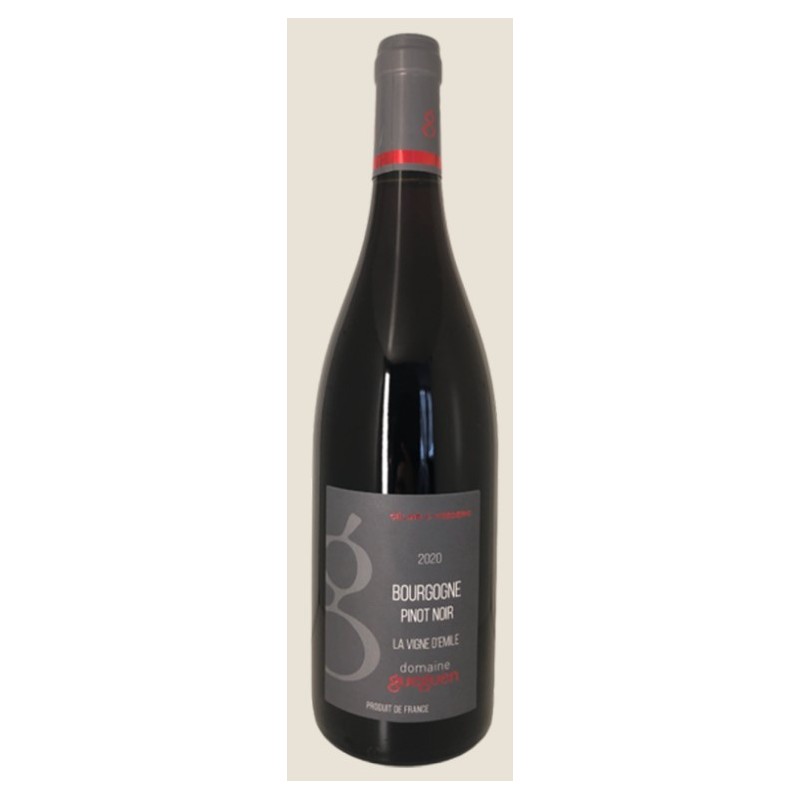 Domaine Gueguen Bourgogne La Vigne D'émile | French Wine