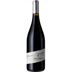 Domaine Canet Valette - Saint-Chinian Rouge Une & Mille Nuits | French Wine