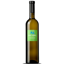 Domaine Mas Amiel Maury Vintage Blanc | french wine