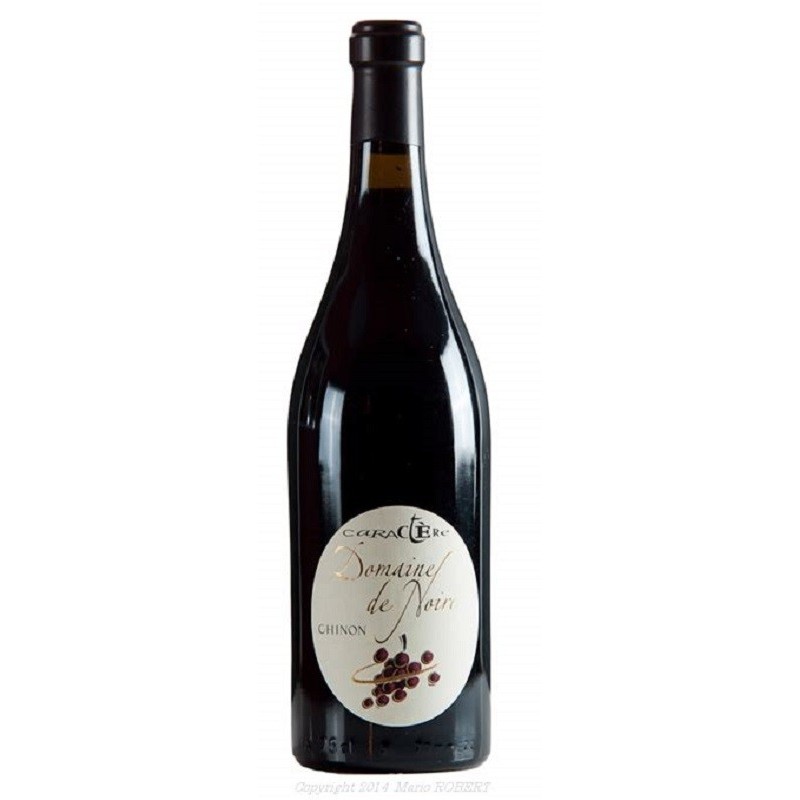 Domaine De Noire Chinon Caractere | French Wine