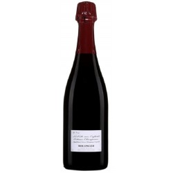 Champagne Bollinger La Côte Aux Enfants Côteaux Champenois Rouge | French Wine