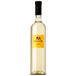 Domaine Mas Amiel Muscat De Rivesaltes | french wine