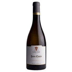 Cave De Tain - Saint-Joseph Blanc Terre D'ivoire | french wine