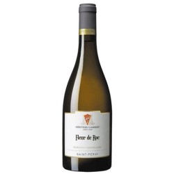 Cave De Tain - Saint-Peray Fleur De Roc | french wine