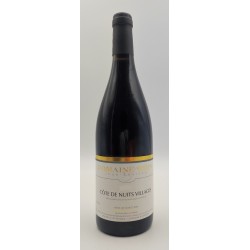 Jean-Charles Rion Cote De Nuits-Villages Mosaic | French Wine