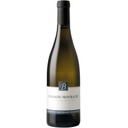 Domaine Bertrand Bachelet Chassagne-Montrachet Blanc | french wine