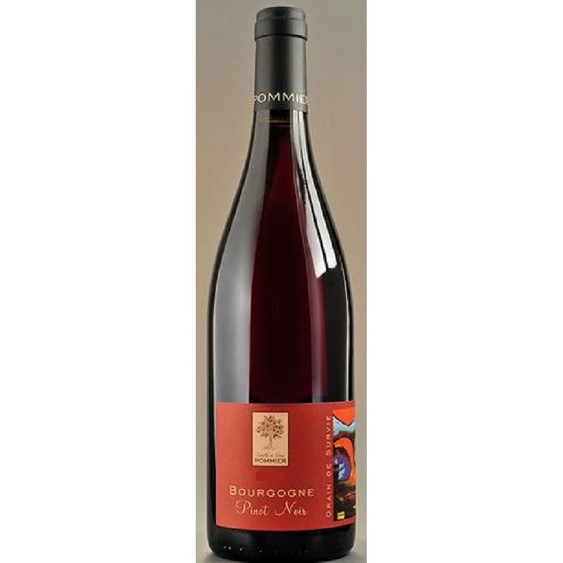 Domaine Pommier Bourgogne Grain De Survie Pinot Noir | French Wine