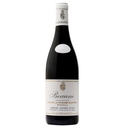 Domaine Guyon Beaune Clos De La Chaume Gaufriot Monopole | French Wine