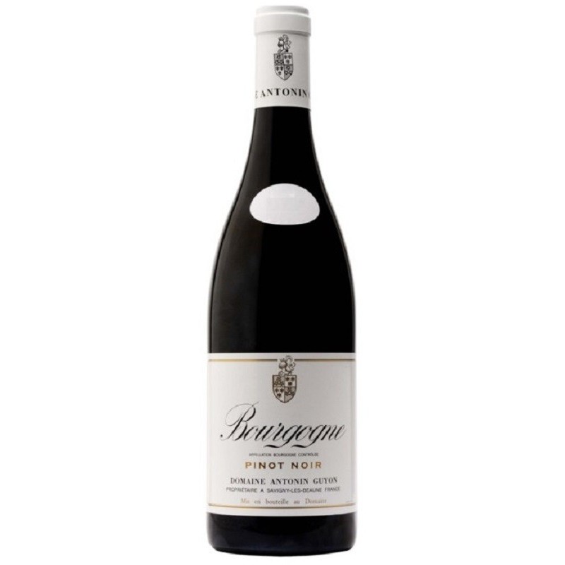 Domaine Guyon Bourgogne Pinot Noir | French Wine