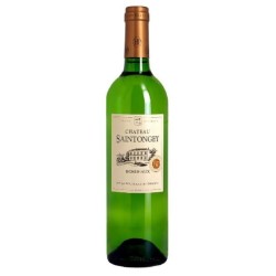 Chateau Saintongey - Bordeaux Blanc | french wine