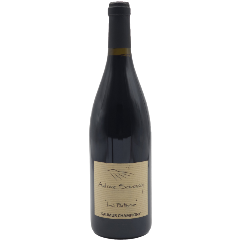 Domaine Antoine Sanzay Saumur-Champigny La Paterne - Vin Bio | French Wine