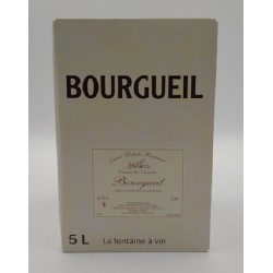 Domaine Lame Delisle Boucard Saint-Nicolas De Bourgeuil Rouge Bib 5 Litres | French Wine