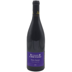 Domaine Cheveau - Villa Violettes | French Wine