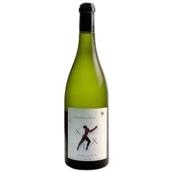 Alphone Mellot Sancerre Génération Xix | french wine