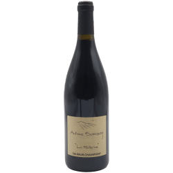 Domaine Antoine Sanzay Saumur-Champigny La Paterne - Vin Bio | French Wine