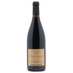 Domaine Antoine Sanzay Saumur-Champigny Les Terres Rouges - Vin Bio | French Wine