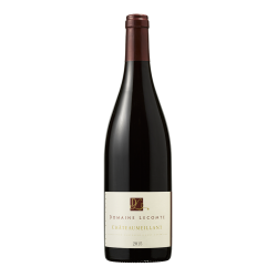 Domaine Lecomte Chateaumeillant Rouge | French Wine