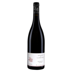 Domaine De La Butte Bourgueil Mi-Pente | French Wine