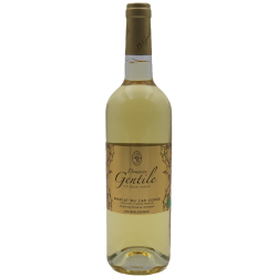 Domaine Gentile Muscat Du Cap Corse Blanc | french wine