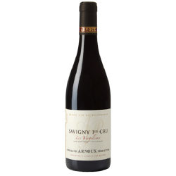 Domaine Arnoux Savigny-Les-Beaune 1er Cru Les Vergelesses | French Wine