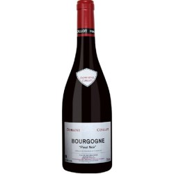 Domaine Coillot - Bourgogne Pinot Noir | French Wine