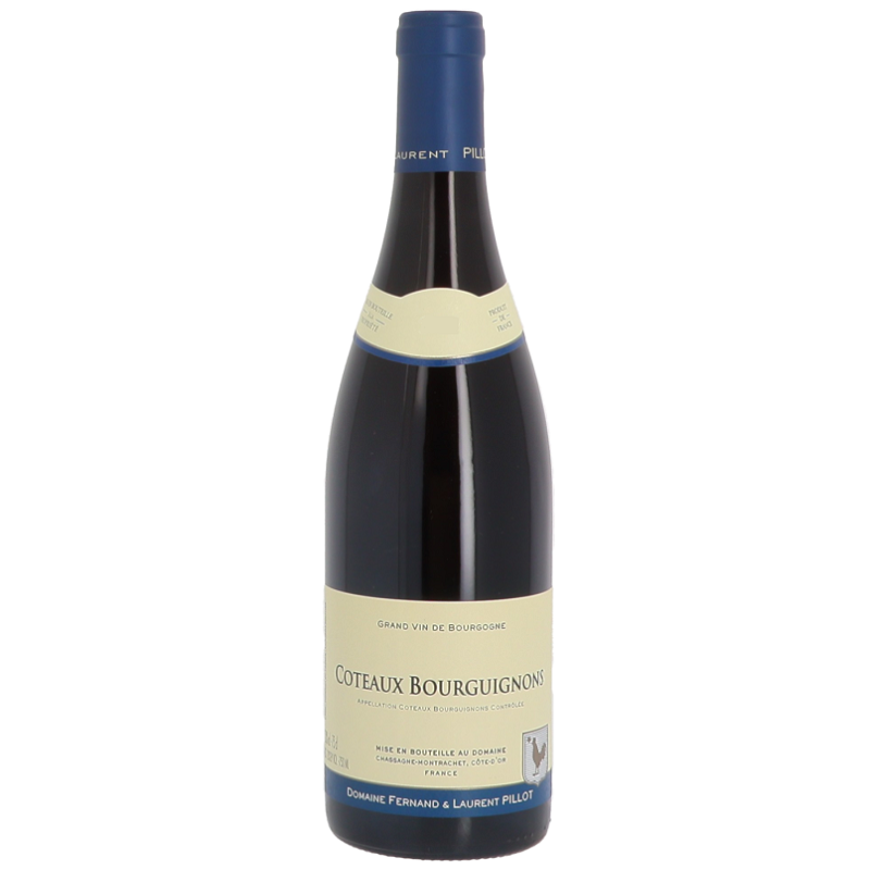 Domaine Pillot Coteaux Bourguignons | French Wine