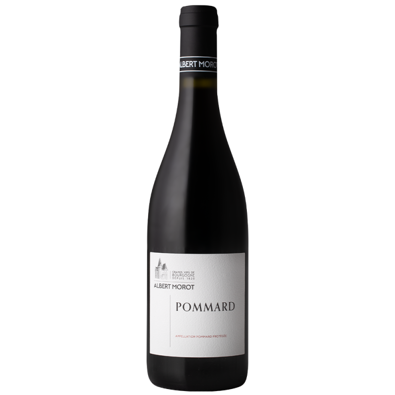 Domaine Albert Morot Pommard | French Wine