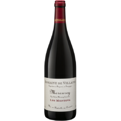 Domaine De Villaine Les Montots Vin Bio | French Wine