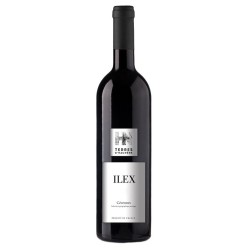 Domaine Terres D'hachene Ilex | French Wine