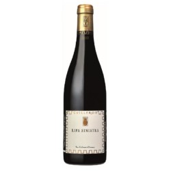 Cave Yves Cuilleron - Igp Collines Rhodaniennes Rouge Ripa Sinistra | French Wine