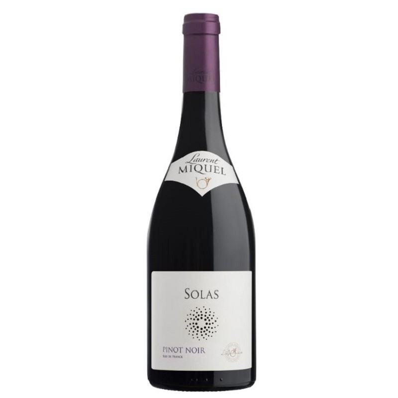 Laurent Miquel Solas Pinot Noir | French Wine