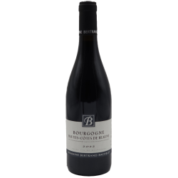 Domaine Bertrand Bachelet Hautes Cotes De Beaune Rouge | French Wine