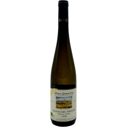 Domaine Jean Becker Pinot Gris Froehn | french wine