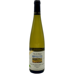 Domaine Jean Becker Riesling Hagenschlauf- Vin Bio | french wine