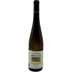 Domaine Jean Becker Riesling Grafenreben - Vin Bio | french wine