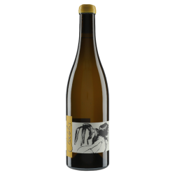 Domaine Pattes Loup - Thomas Pico Chablis | french wine